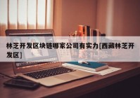 林芝开发区块链哪家公司有实力[西藏林芝开发区]